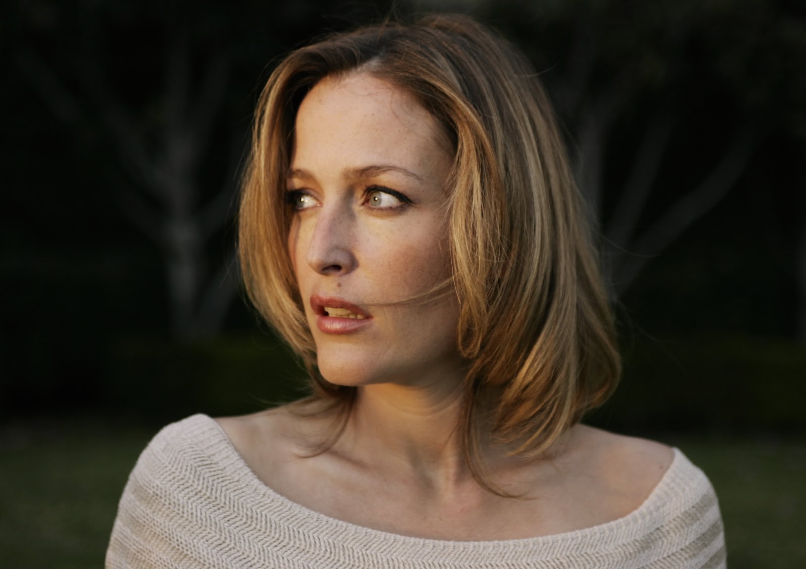 Gillian Anderson 301